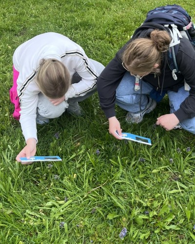 Besuch auf der Streuobstwiese &ndash; Lernen in der Natur