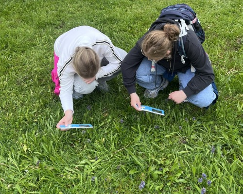 Besuch auf der Streuobstwiese &ndash; Lernen in der Natur