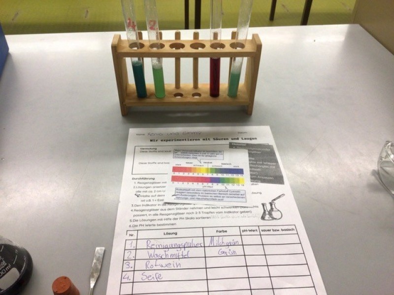 Indikator aus Blaukraut