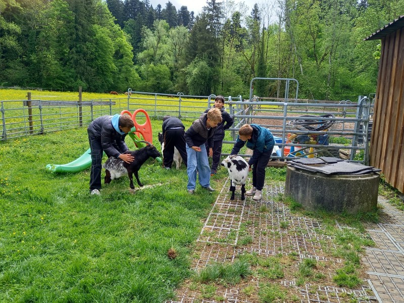 Klassenausflug zum Lern- und Erlebnisbauernhof „Karibu“