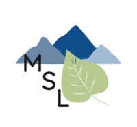 Mittelschule Lindenberg